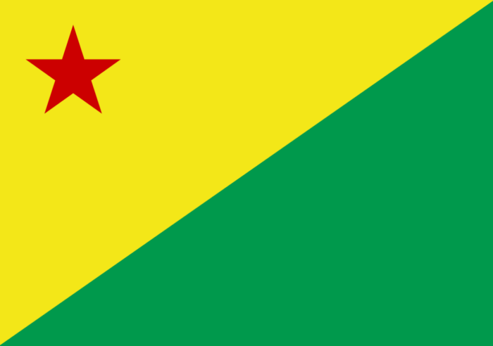 Bandeira do Acre - Imagem 2