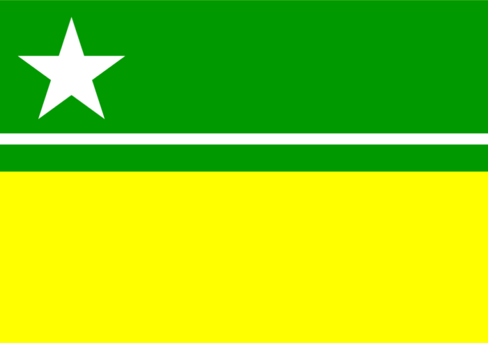 Bandeira de Boa Vista - Imagem 2