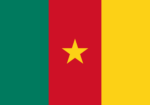 Bandeira de Camarões - Imagem 2