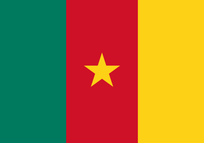 Bandeira de Camarões - Imagem 2