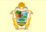 Bandeira de Manaus - Imagem 2