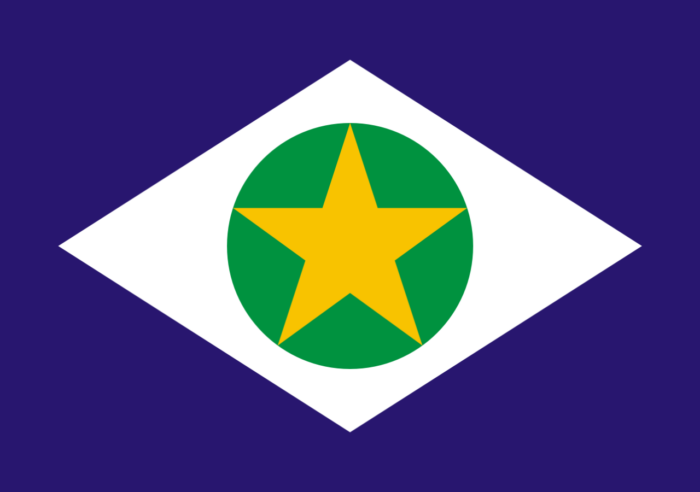 Bandeira do Mato Grosso - Imagem 2