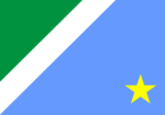 Bandeira de Mato Grosso do Sul - Imagem 2