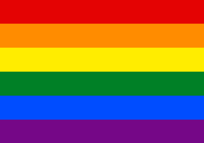 Bandeira Orgulho Gay - MOVIMENTO LGBT (Versão atual) - Imagem 2