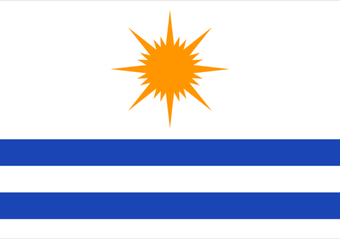 Bandeira de Palmas - Imagem 2