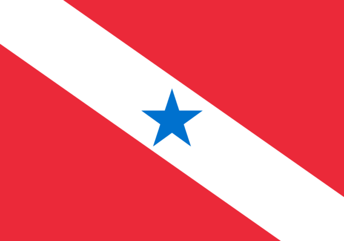 Bandeira do Pará - Imagem 2