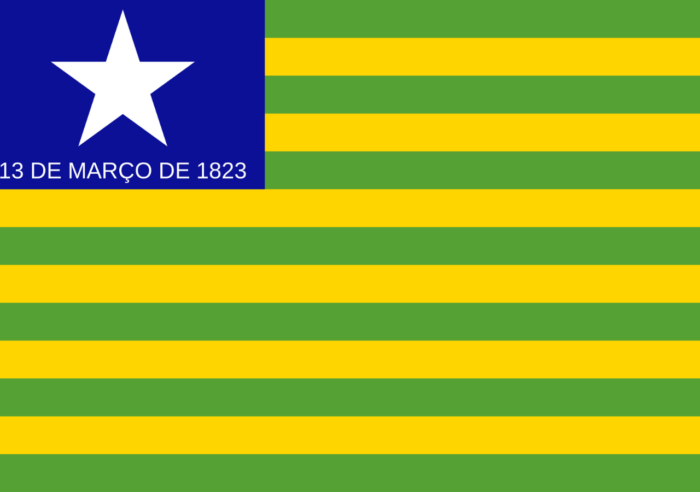 Bandeira do Piauí - Imagem 2
