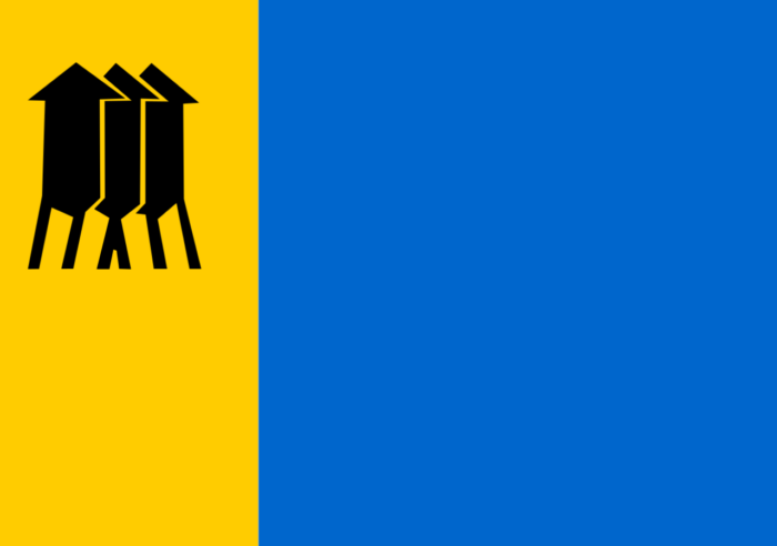 Bandeira de Porto Velho - Imagem 2