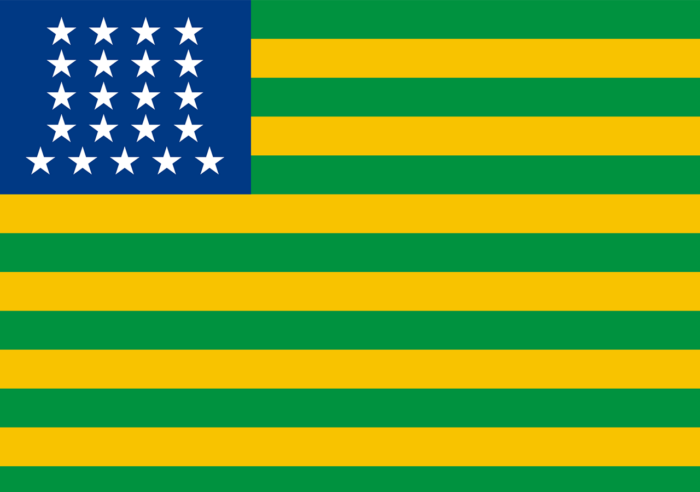 Bandeira Histórica Provisória da República (1889) - Imagem 2