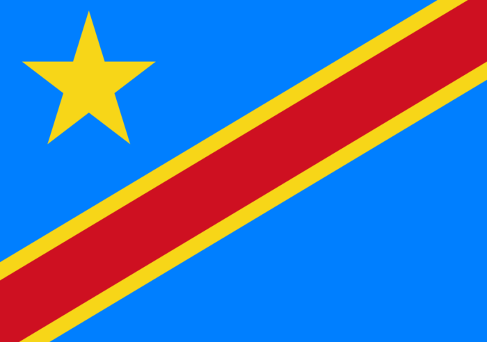 Bandeira da República Democrática do Congo - Imagem 2