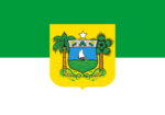 Bandeira do Rio Grande do Norte - Imagem 2