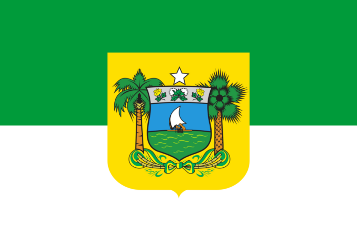Bandeira do Rio Grande do Norte - Imagem 2
