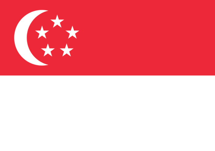 Bandeira ESTAMPADA de Singapura - Imagem 2