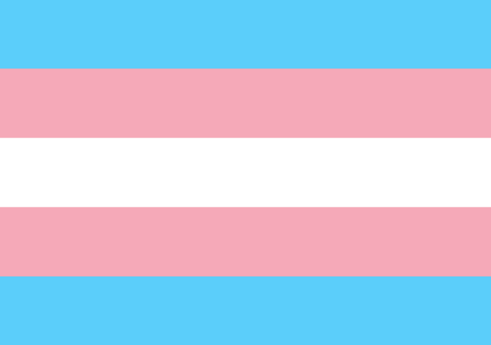 Bandeira do Orgulho Transgênero-Transexual - Imagem 2