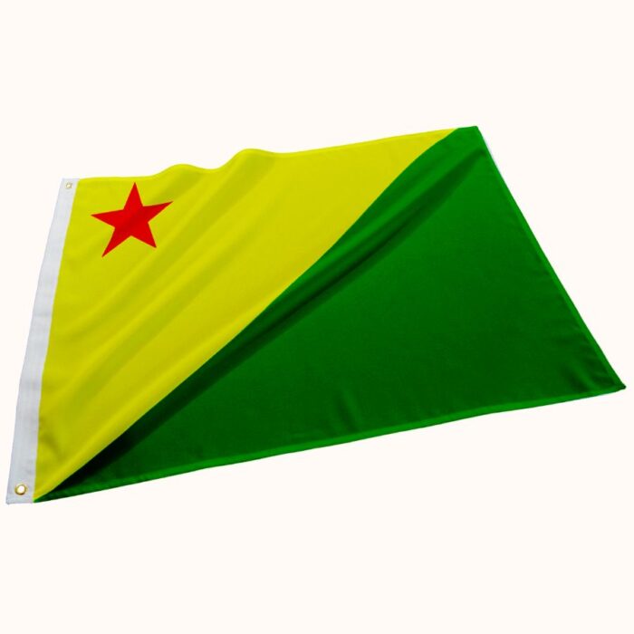 Bandeira do Acre - Imagem 1