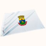 Bandeira de Belo Horizonte