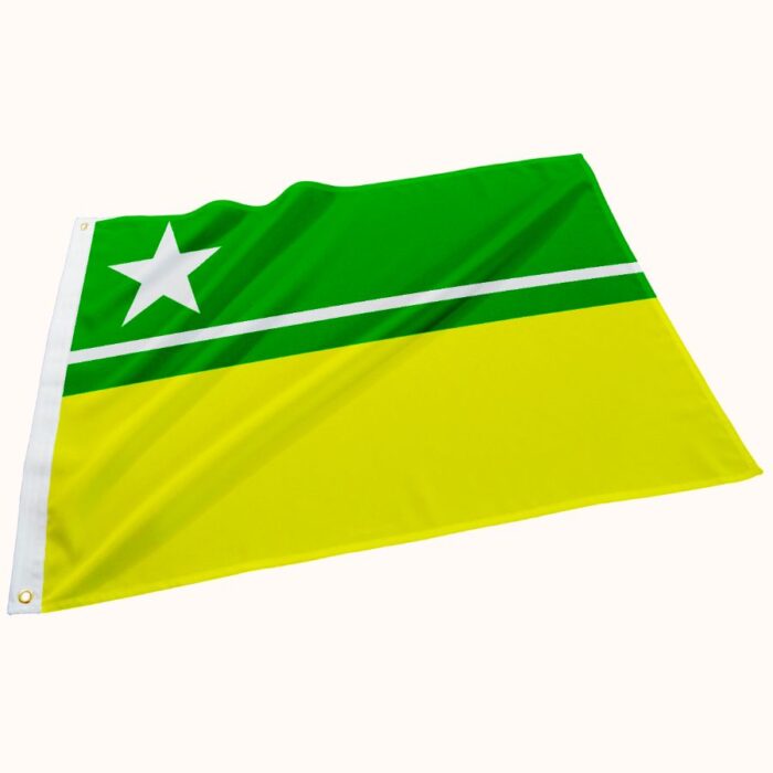 Bandeira de Boa Vista - Imagem 1