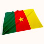 Bandeira de Camarões