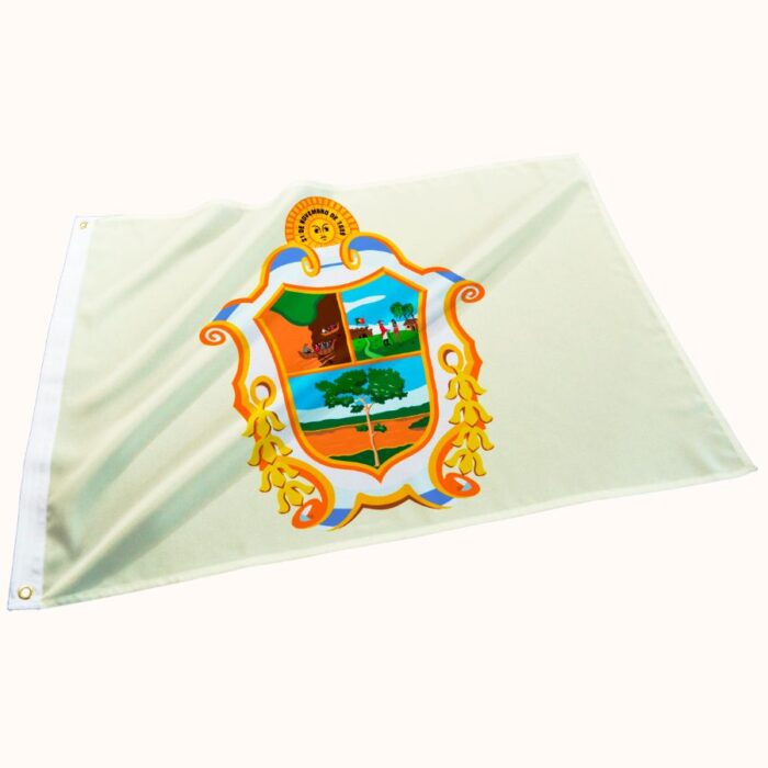 Bandeira de Manaus - Imagem 1