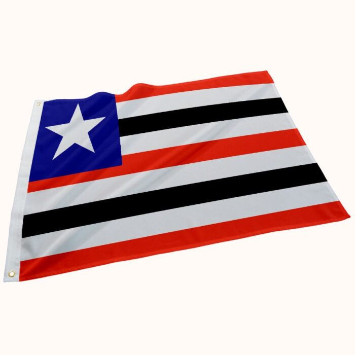 Bandeira do Maranhão - Imagem 1