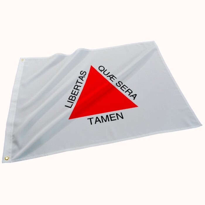 Bandeira de Minas Gerais - Imagem 1