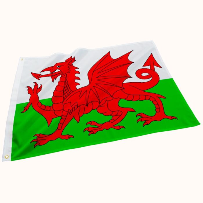 Bandeira ESTAMPADA dos País de Gales - Imagem 1