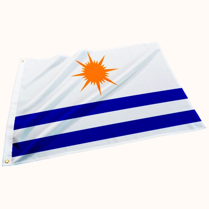 Bandeira de Palmas - Imagem 1