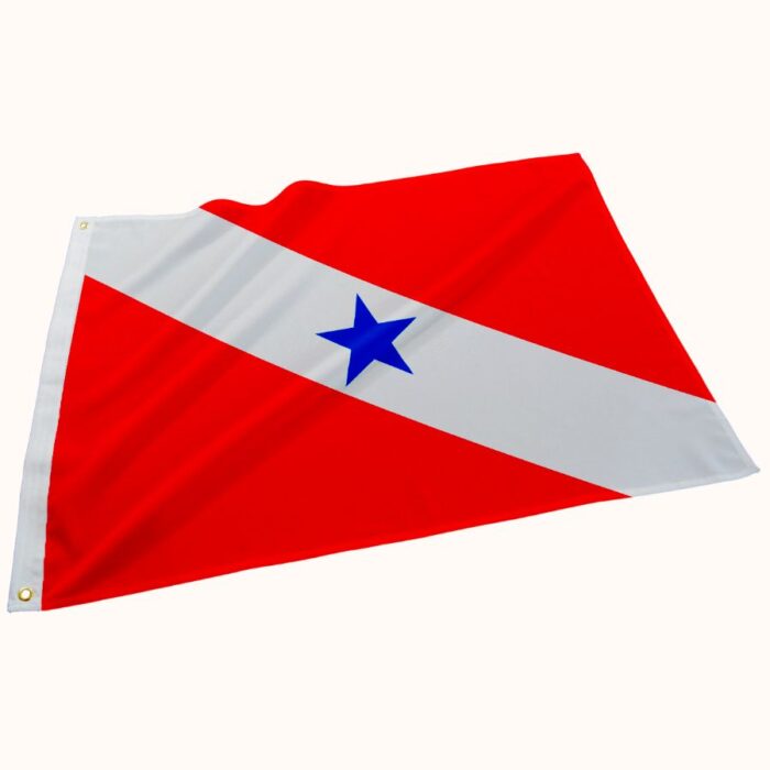 Bandeira do Pará - Imagem 1
