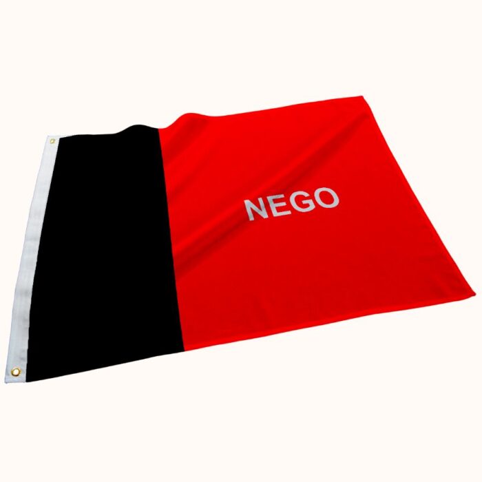 Bandeira da Paraíba - Imagem 1