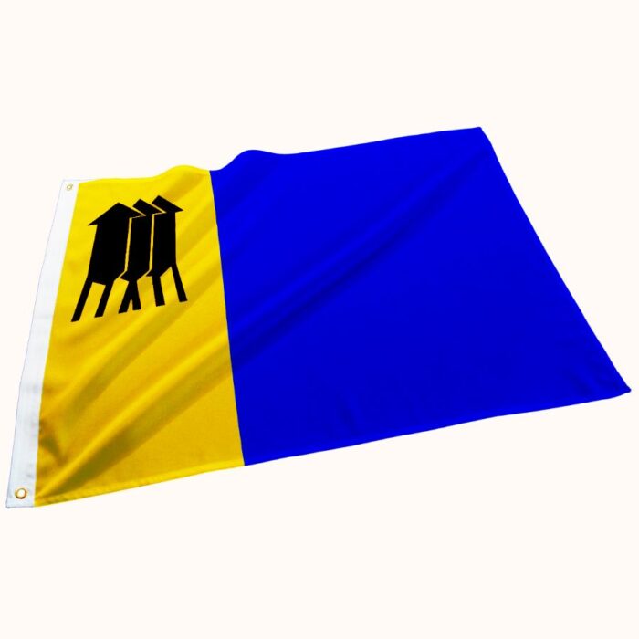 Bandeira de Porto Velho - Imagem 1