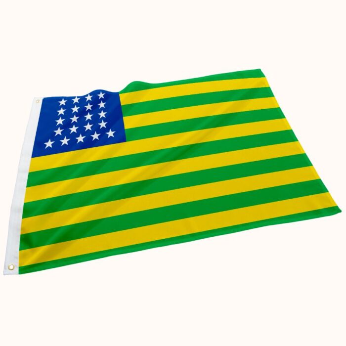 Bandeira Histórica Provisória da República (1889) - Imagem 1