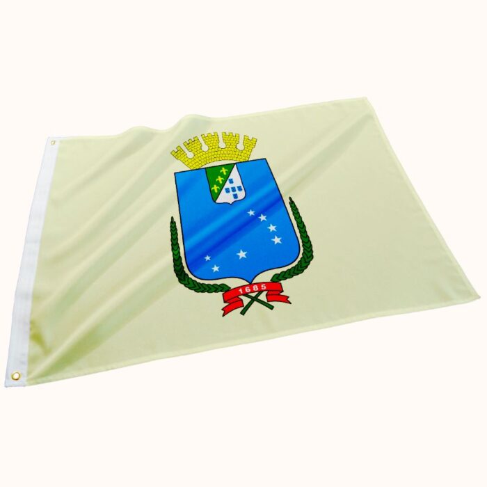 Bandeira de São Luís - Imagem 1