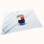 Bandeira de Vitória