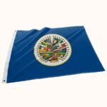 Bandeira BORDADA de Organizações - Tecido Nylon - 100% Poliamida (G4) - Imagem 10